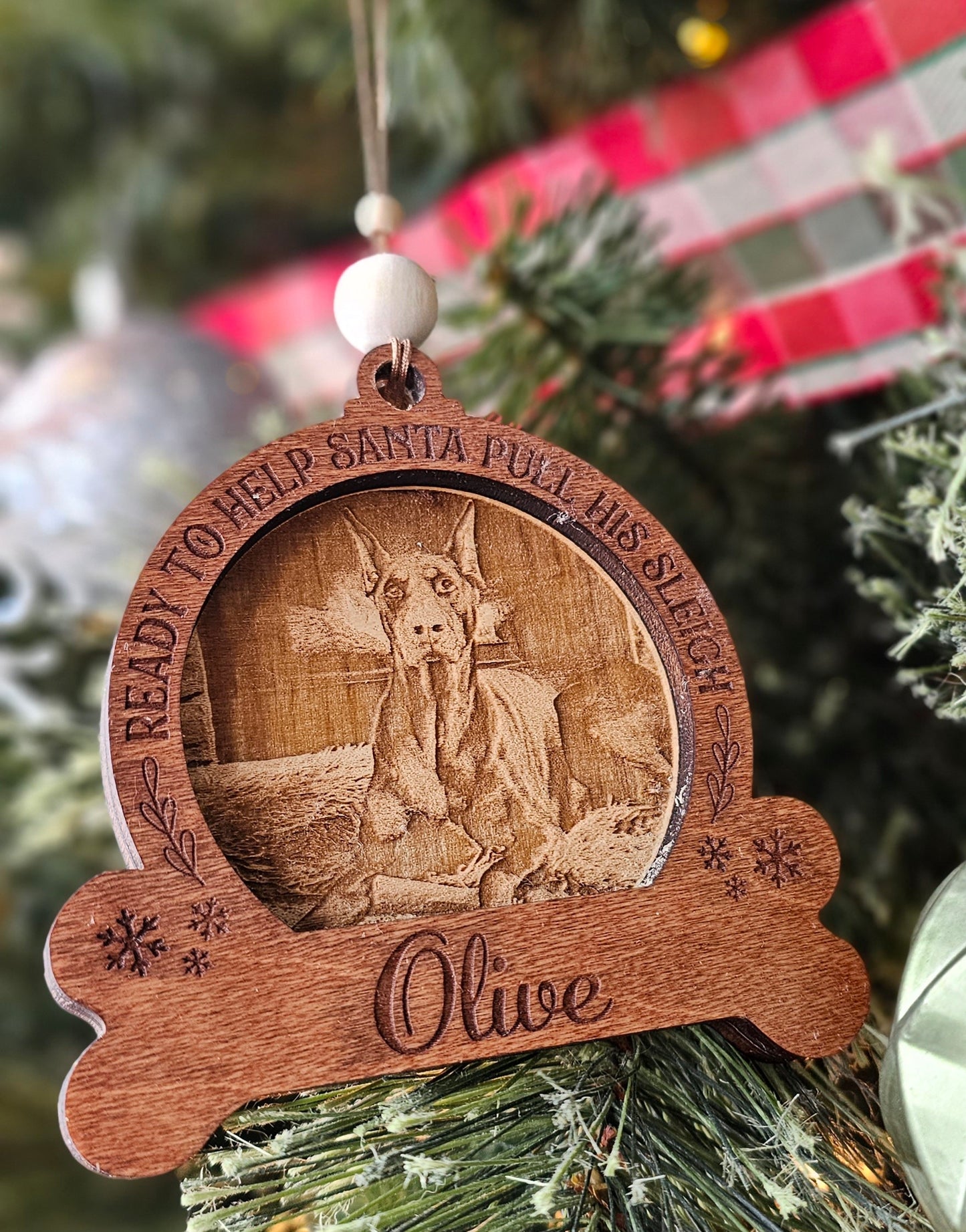 Custom Pet Ornaments